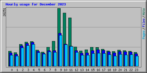 Hourly usage for December 2023