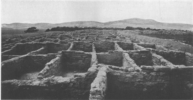 Ruins of South House, one of the great communal dwellings
of Frijoles Cañon, after excavation